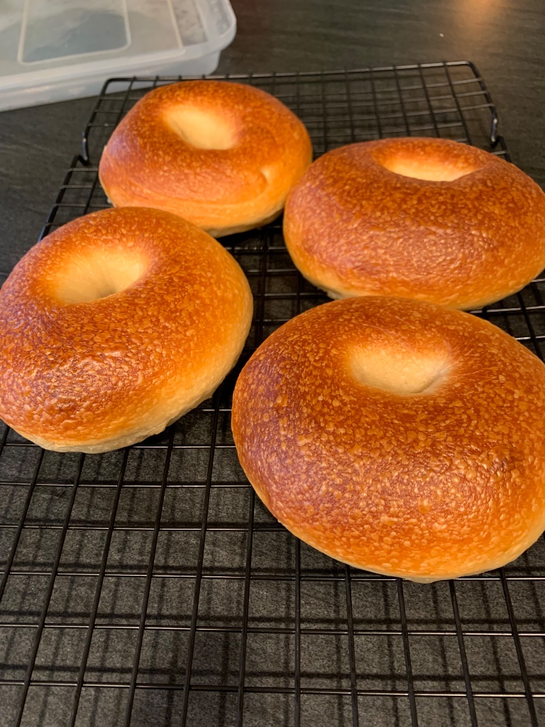 New York Bagels