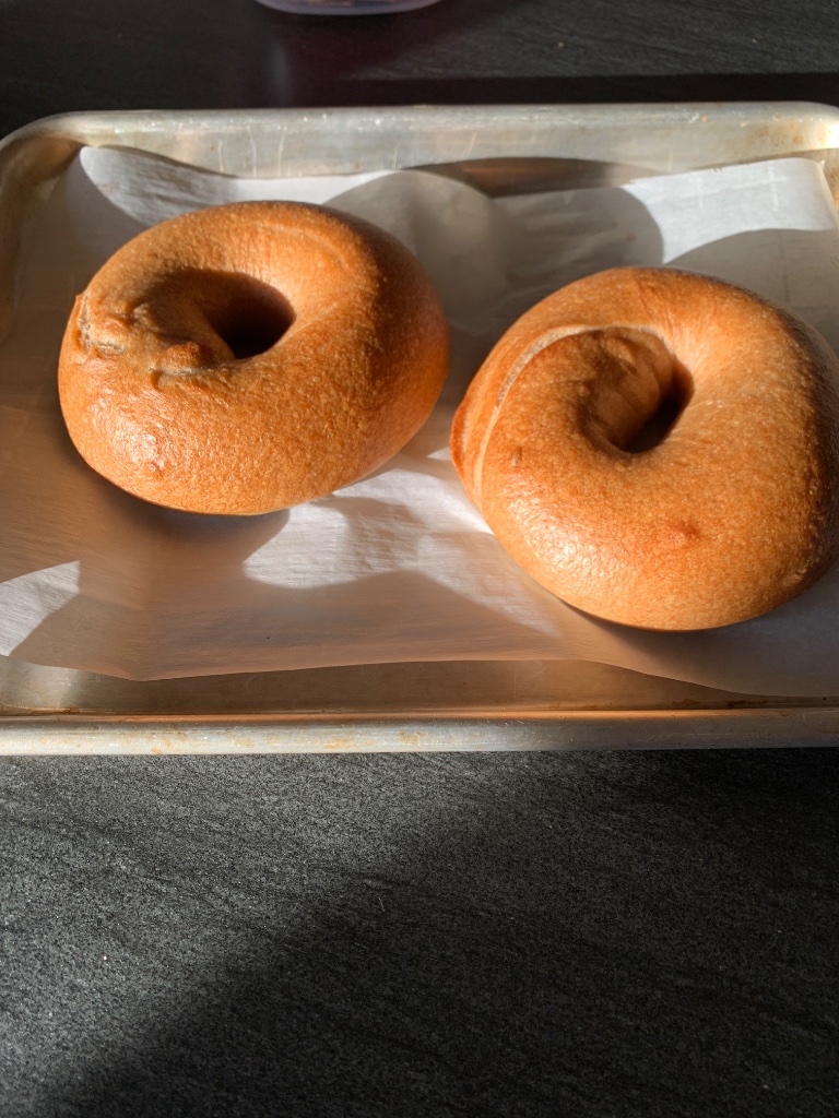 Egg Bagels