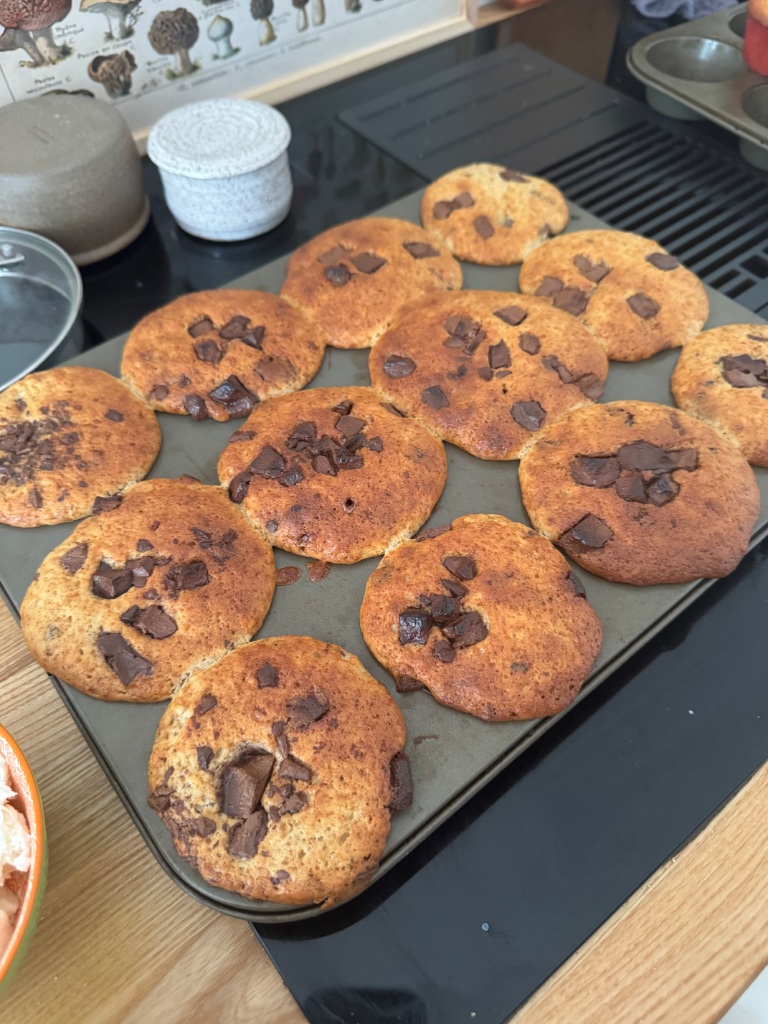 Chocolate Chip Muffins